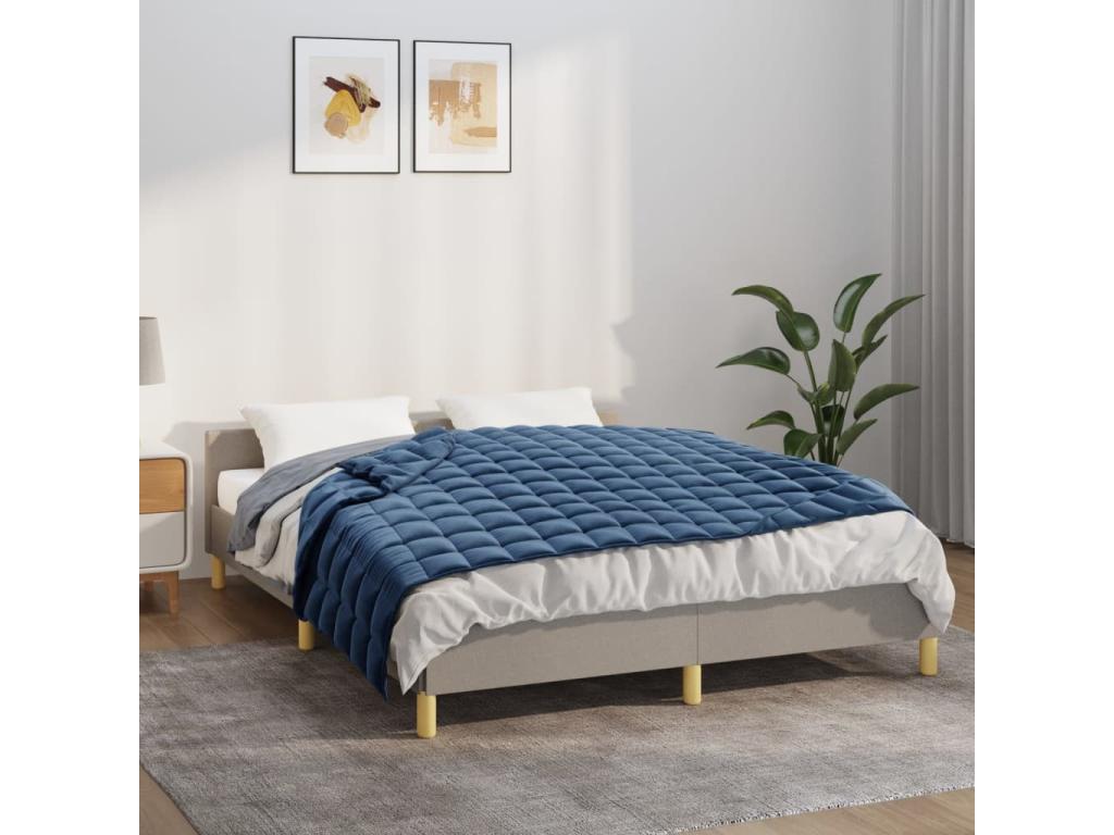 Meubles de maison en tissu bleu, 140 x 200 cm