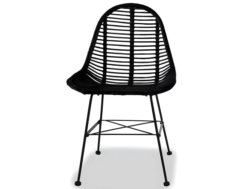 Meubles noirs pour la maison - dlz1766459509811