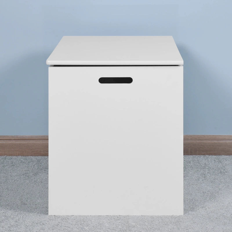 Armoire de rangement d'entrée à couvercle relevable avec charnières de sécurité