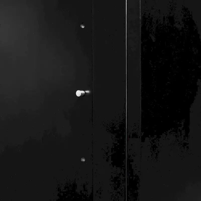 Armoires en bois à 2 portes